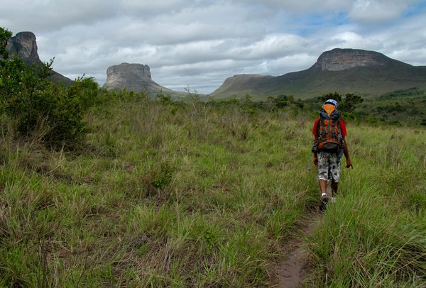 Prenez de la hauteur : Pourquoi louer une cabane dans les arbres ?