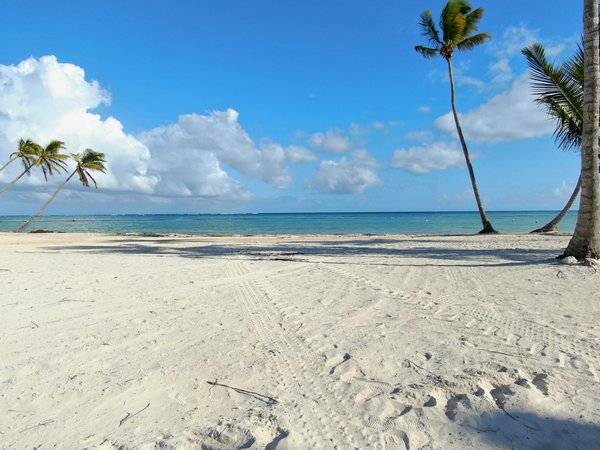 Nouvelle place 2025 : l'Église saint-françois se réinvente au havre